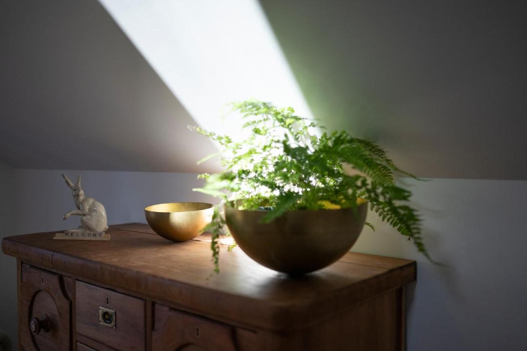 Photo of Others in Paddington