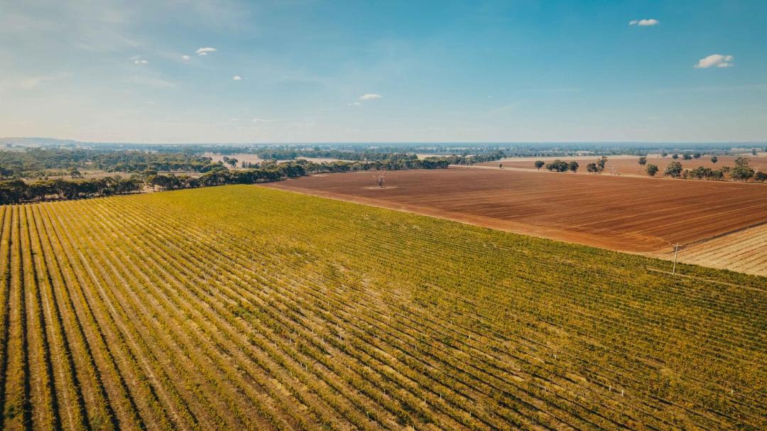 Photo of Others in Cornella