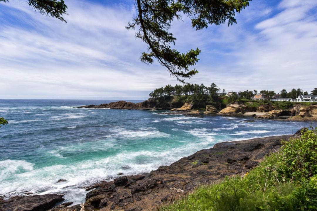 Photo of Others in Depoe Bay