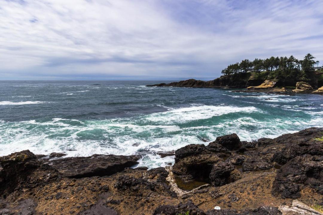 Photo of Others in Depoe Bay