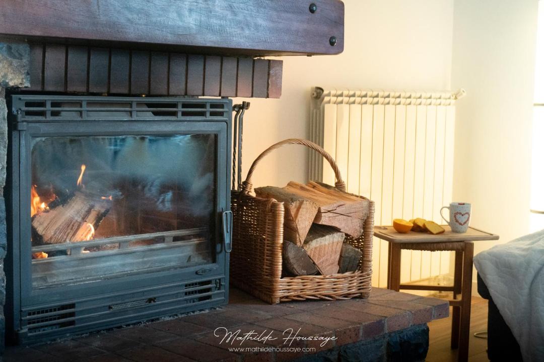 Photo of Others in Belvedere