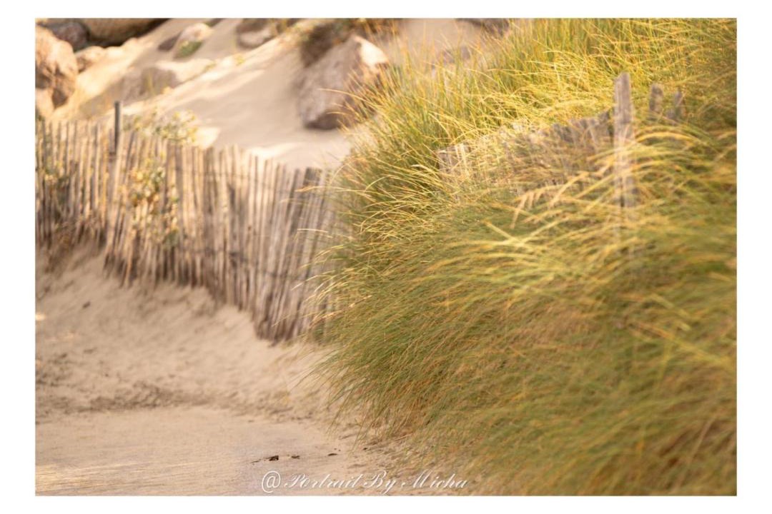 Photo of Others in Stella-Plage