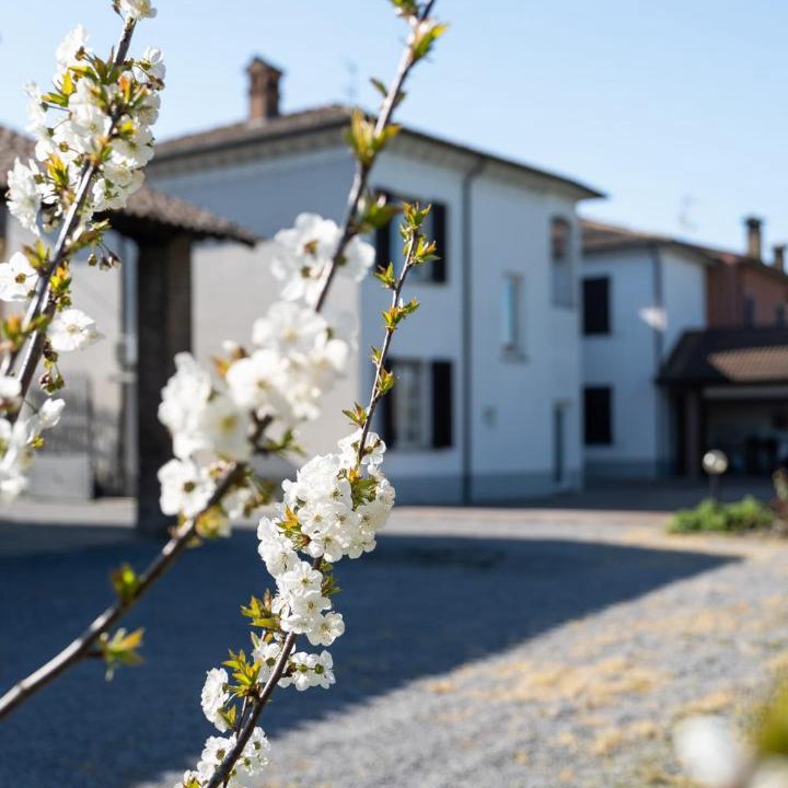 Photo of Others in Cervesina