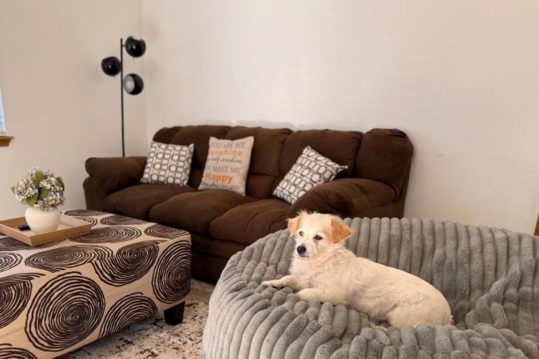 Photo of Livingroom in Hillcrest