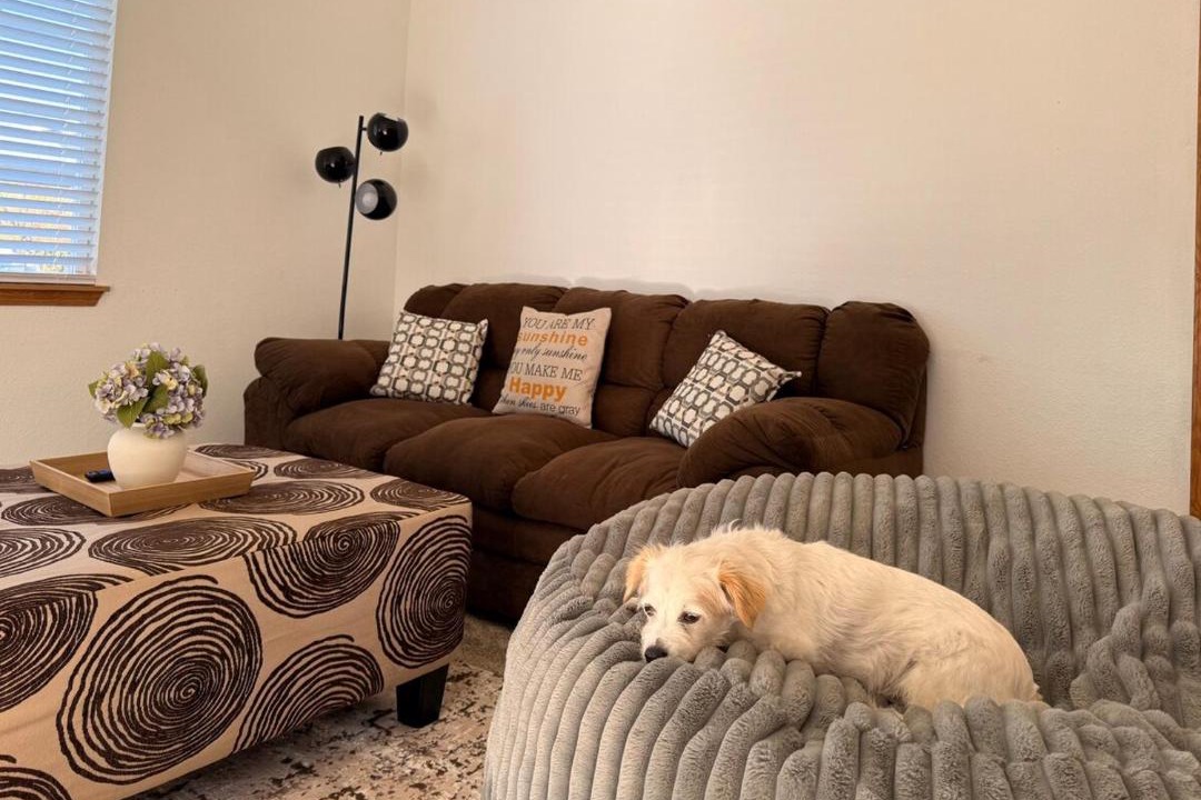 Photo of Livingroom in Hillcrest