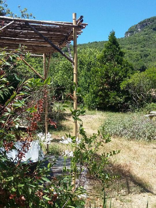 Photo of Others in Lodeve