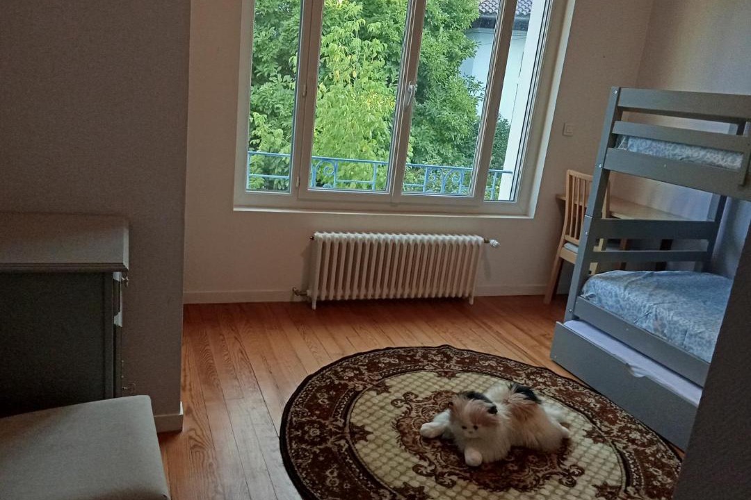 Photo of Others in Lourdes