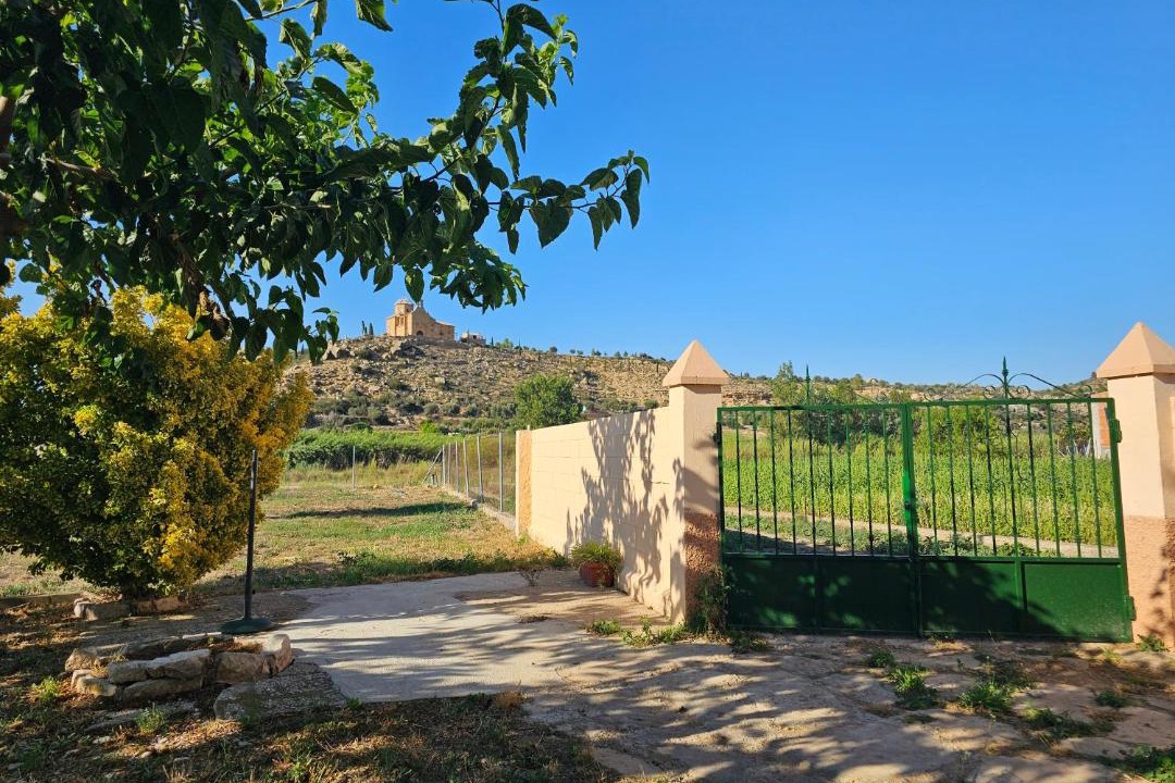 Photo of Others in Mazaleon