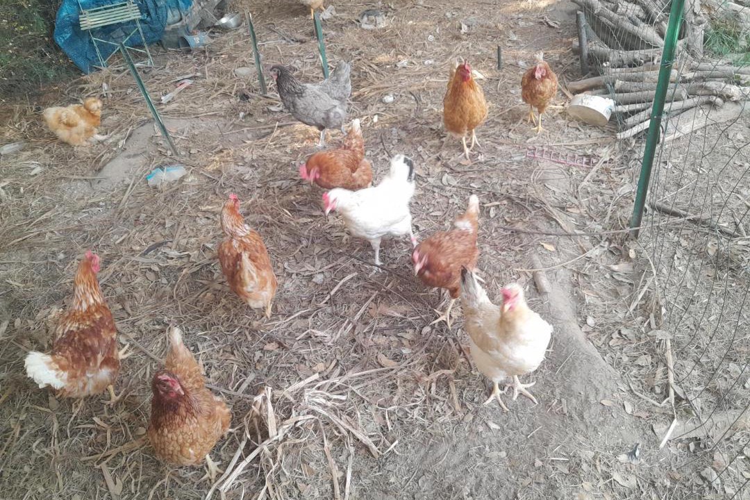 Photo of Others in Pujo-le-Plan