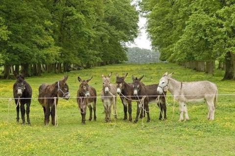 Photo of Others in Doudeville