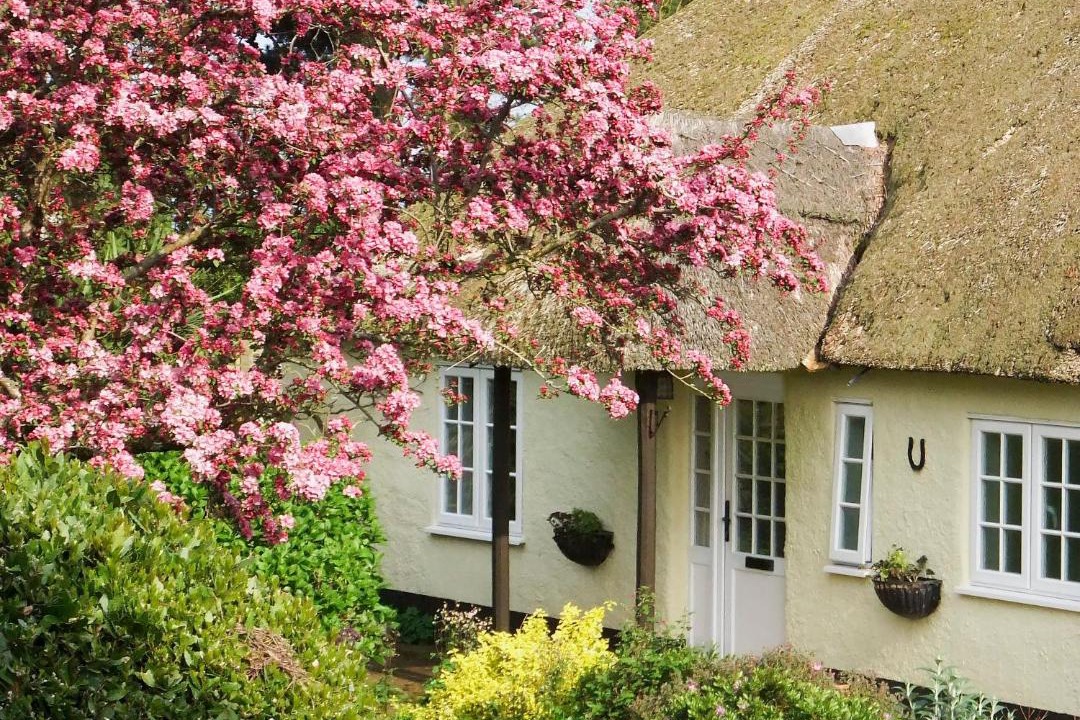 Photo of Others in Otterton