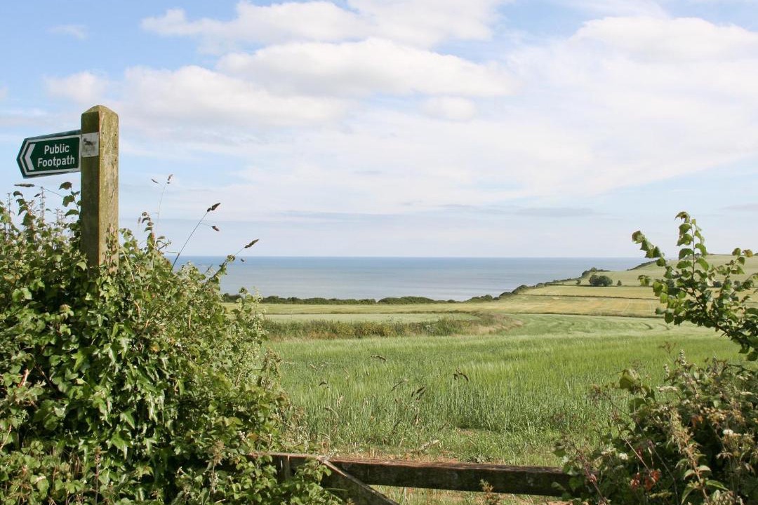 Photo of Others in Otterton