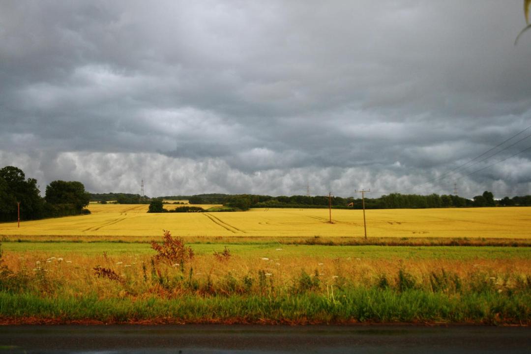 Photo of Others in Wendling