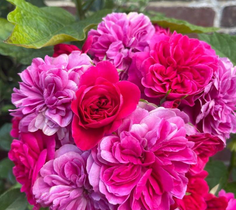 Photo of Outdoor in Gournay-en-Bray