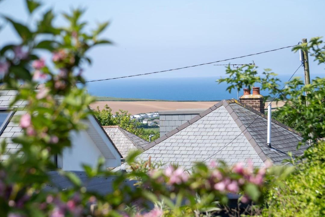 Photo of Others in Bude