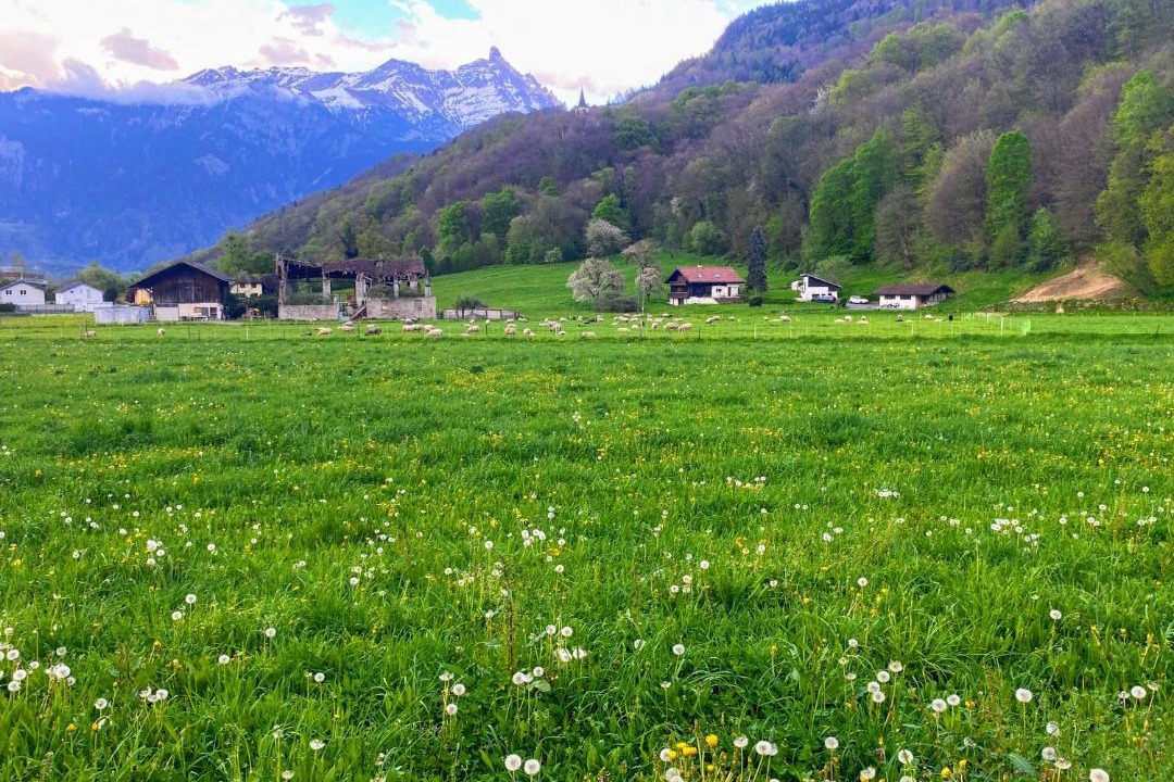 Photo of Others in Monthey
