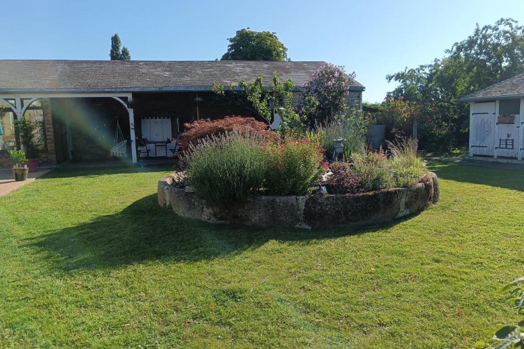 Photo of Others in Curey