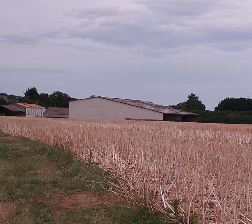 Photo of Others in Corme-Royal