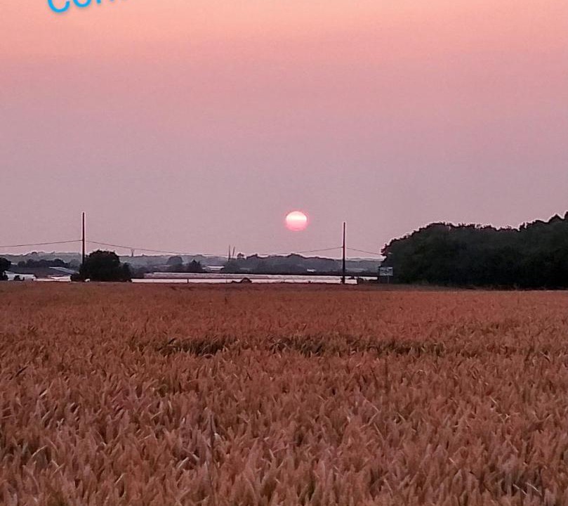 Photo of Others in Corme-Royal