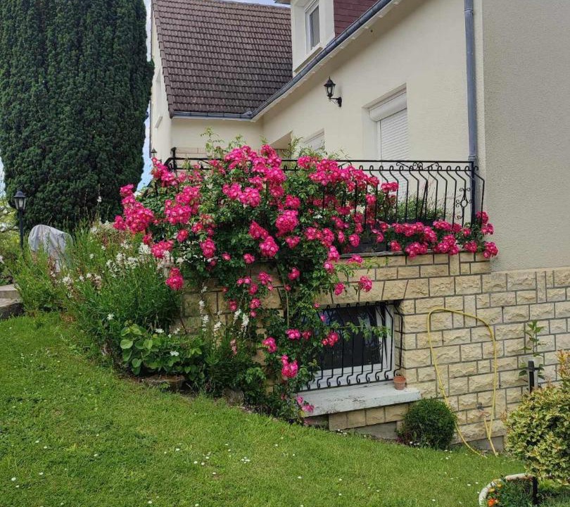 Photo of Others in Noyers-sur-Cher