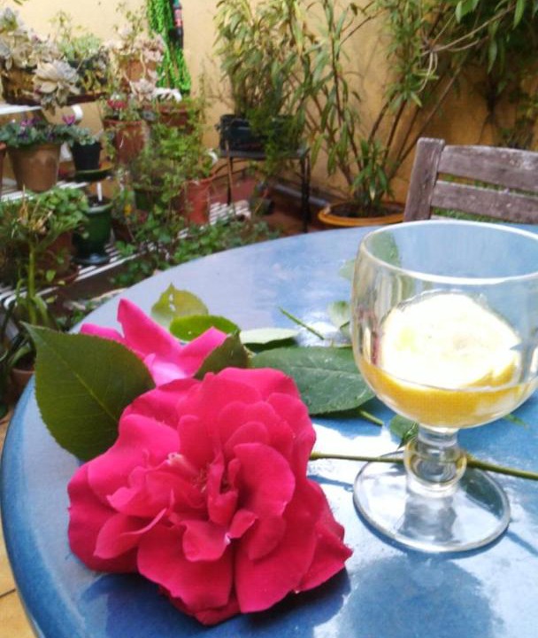 Photo of Others in Aniane