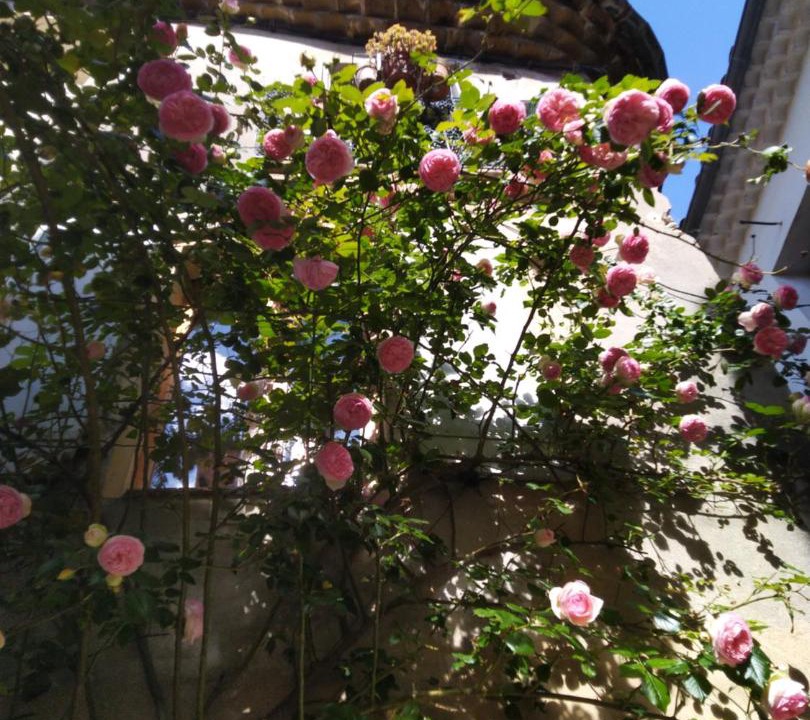 Photo of Others in Aniane