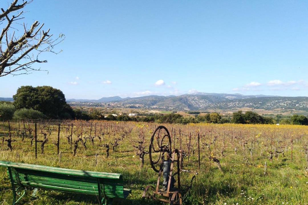 Photo of Others in Aniane