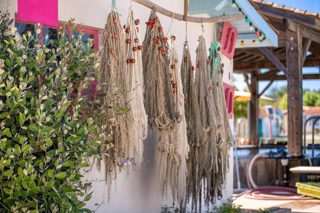 Photo of Others in Ares