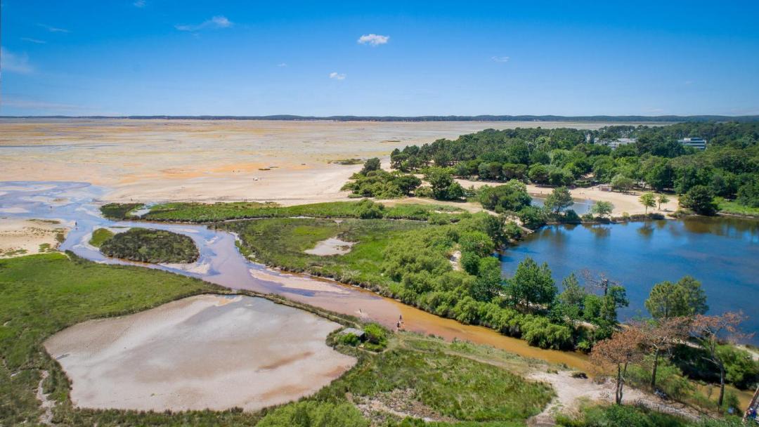 Photo of Others in Ares