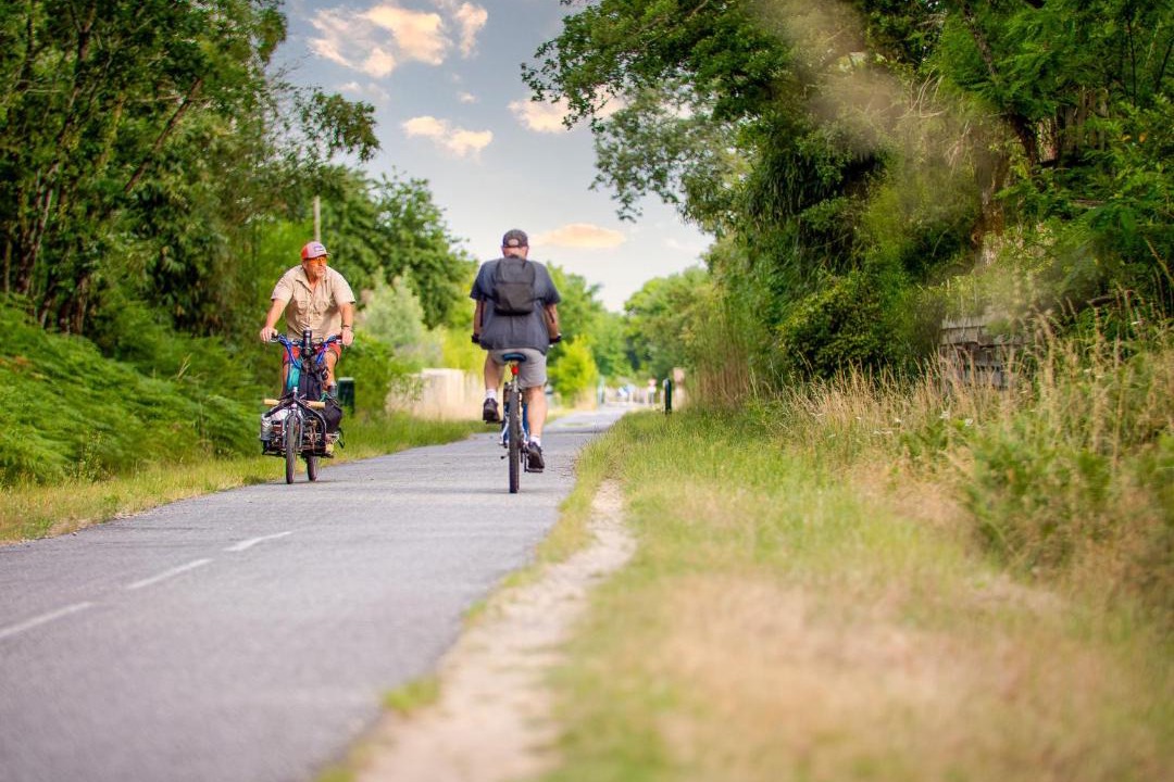 Photo of Others in Ares