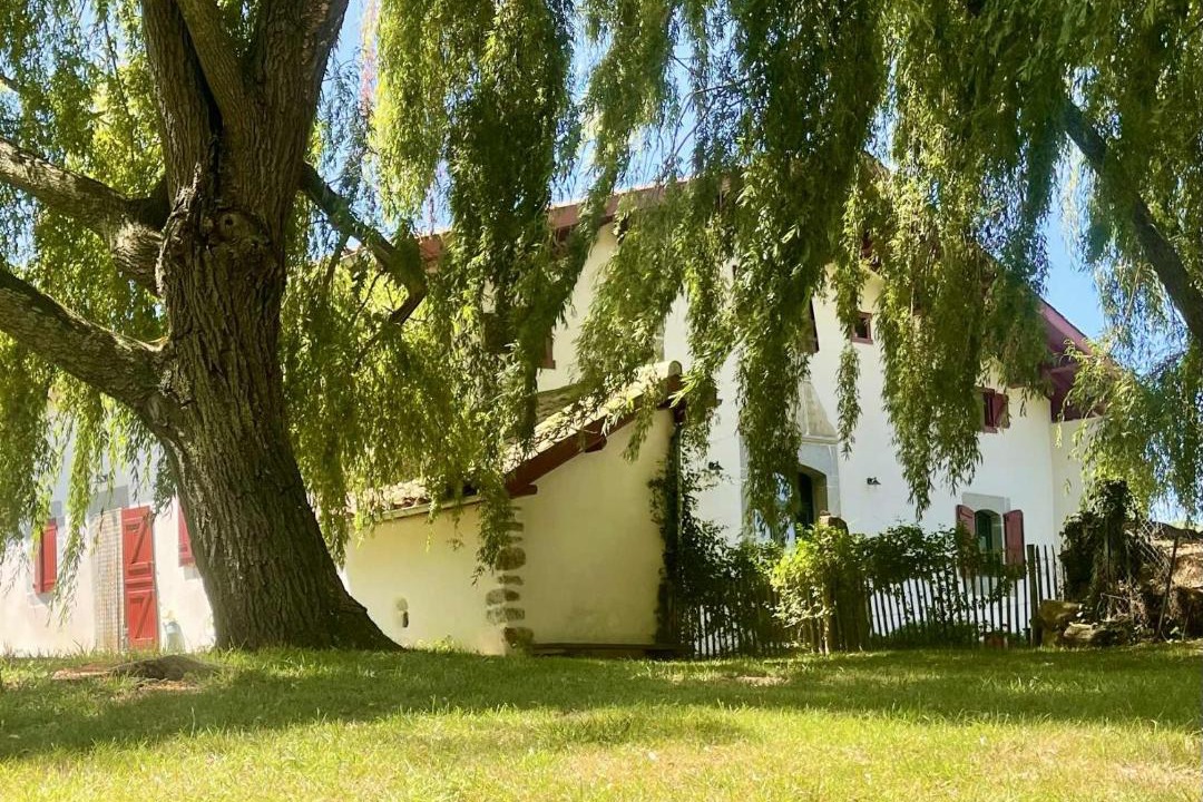 Photo of Others in Iholdy