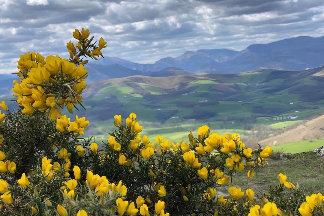 Photo of Others in Iholdy