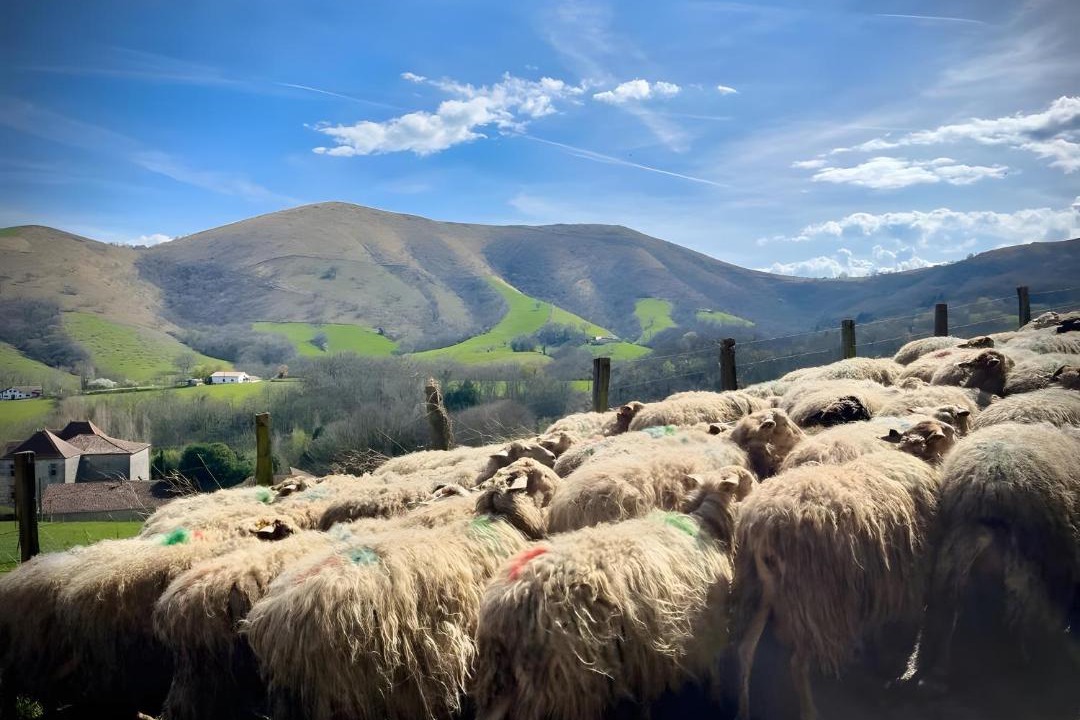 Photo of Others in Iholdy