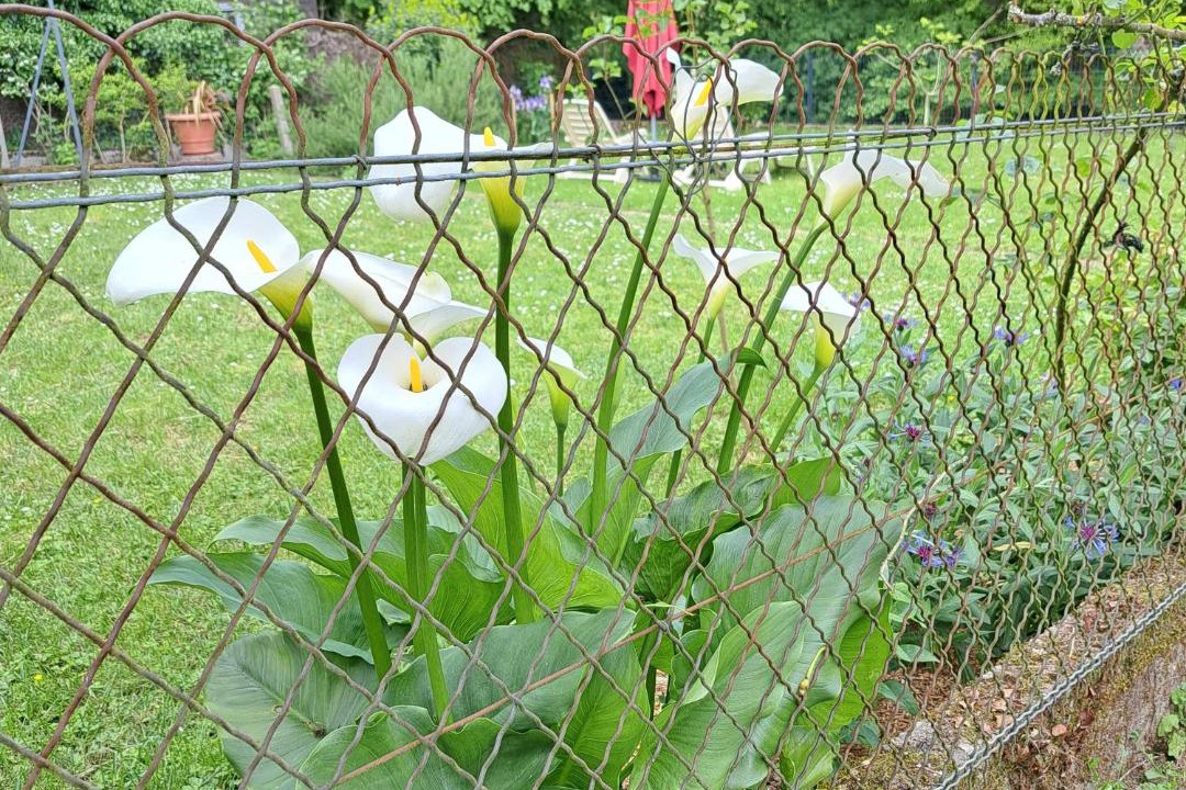 Photo of Outdoor in Payre