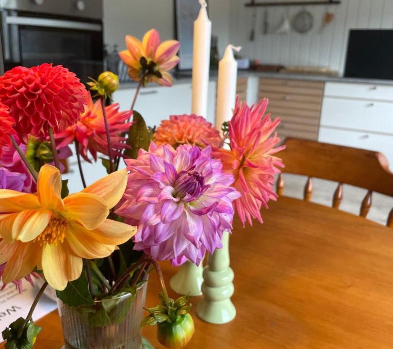 Photo of Others in Brande