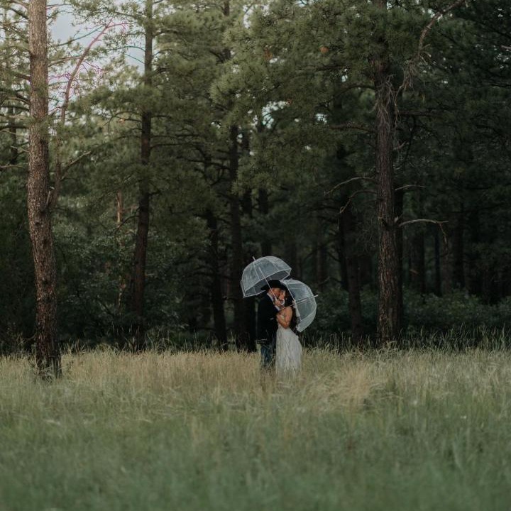Photo of Others in McIntosh