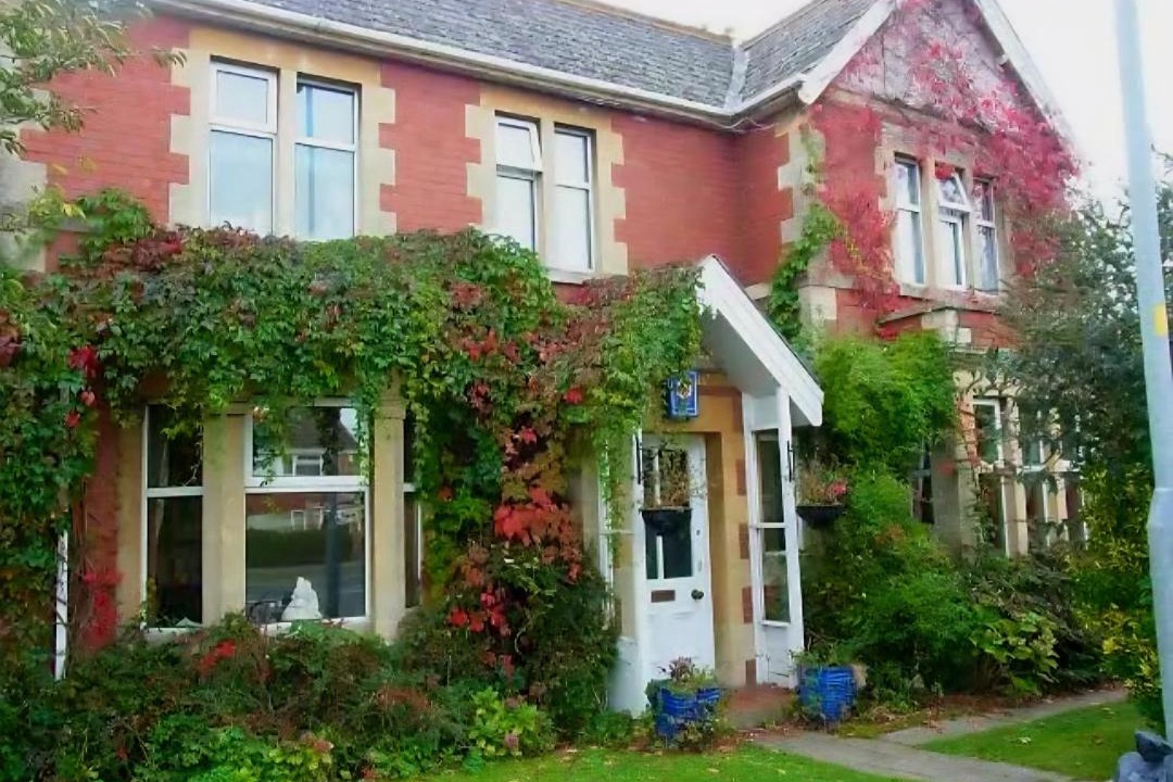 Photo of Others in Westbury