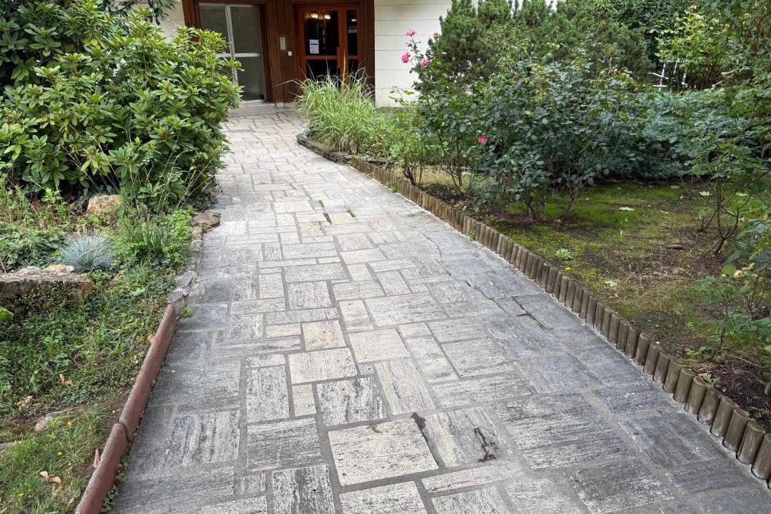 Photo of Others in Les Lilas