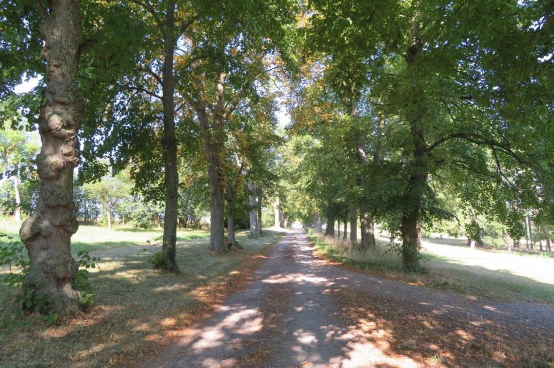 Photo of Outdoor in Saint-Martin-des-Plains