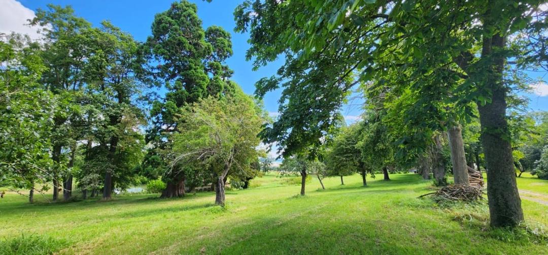Photo of Outdoor in Saint-Martin-des-Plains