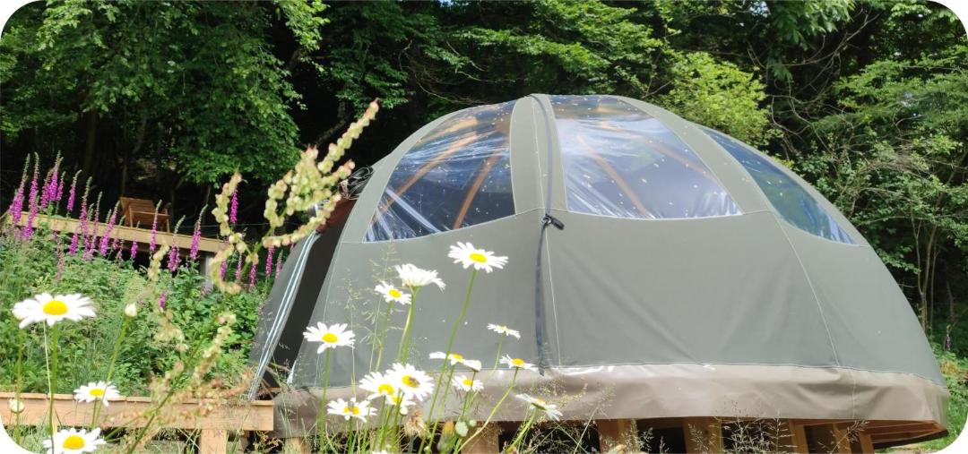 Photo of Others in Mesvres