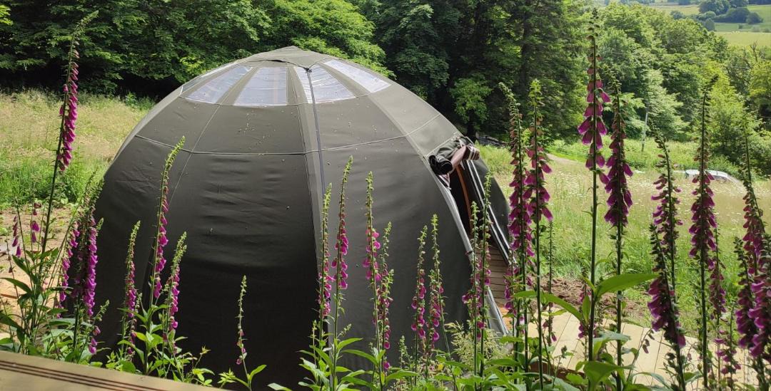 Photo of Outdoor in Mesvres