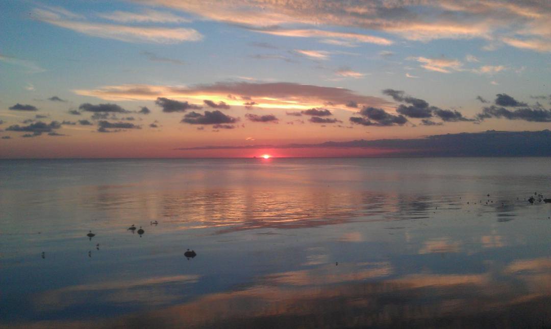 Photo of Others in Hasle