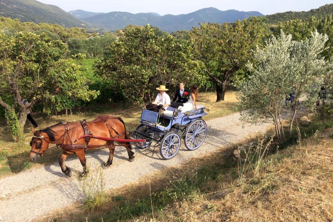 Photo of Others in Venterol