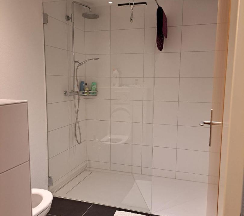 Photo of Bathroom in Schmerikon