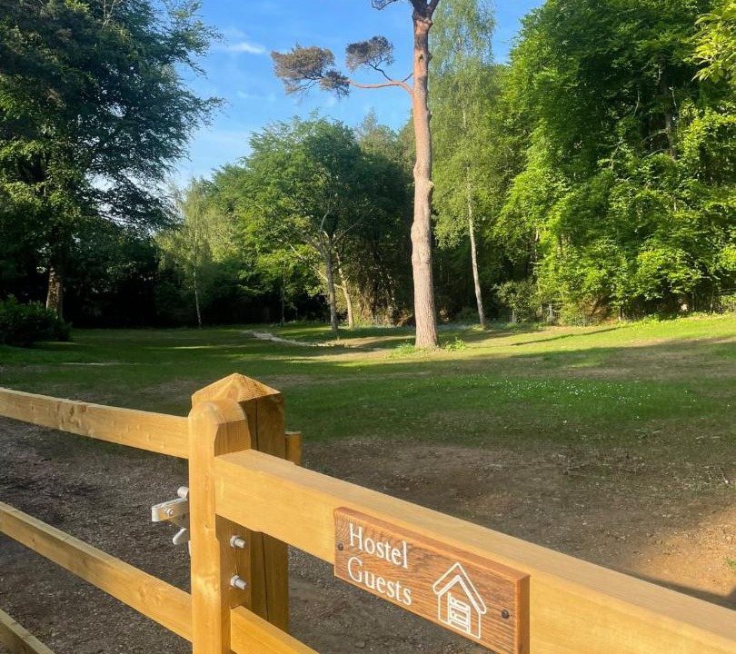 Photo of Others in Holmbury St Mary