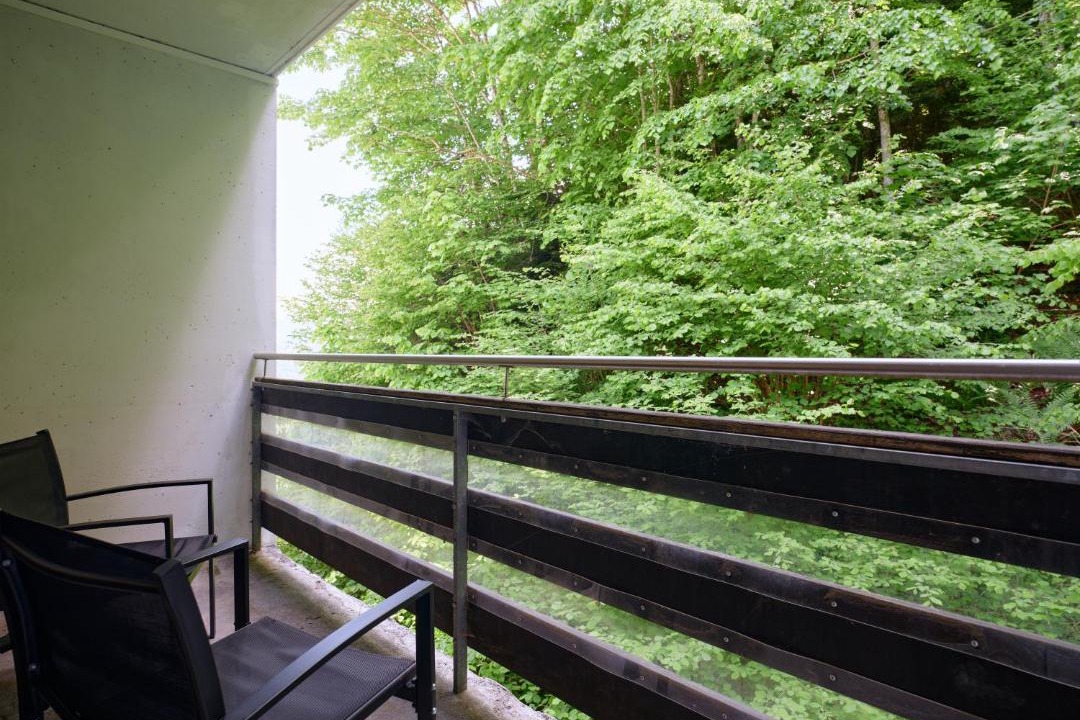 Photo of Patio Balcony in Ruetli
