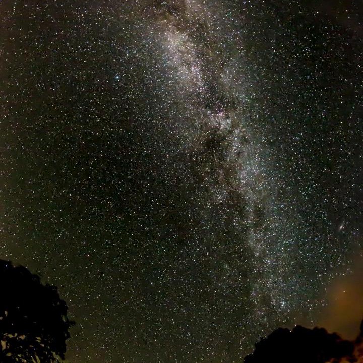 Photo of Others in Borre