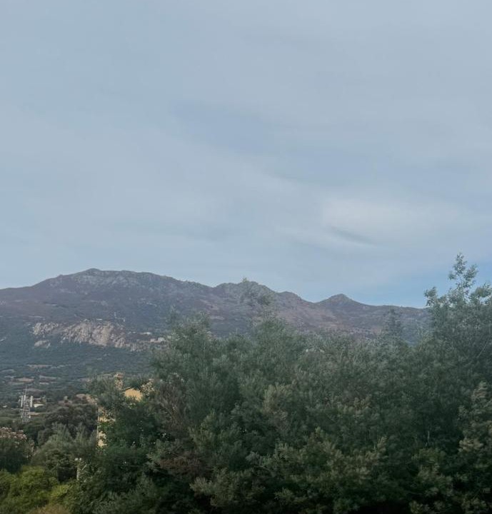 Photo of Others in Calenzana