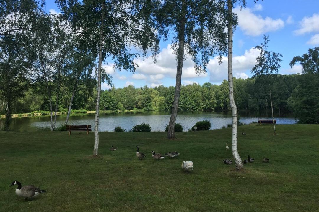 Photo of Others in Fere-en-Tardenois